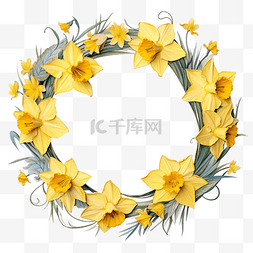手绘植物花环图片_黄色水仙花和菊苣的圆形框架