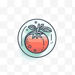 圆形背景顶部白色背景上的番茄图
