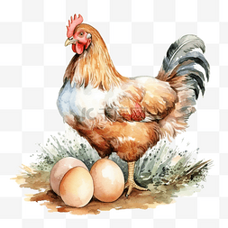 小鳥水彩图片_水彩鸡与鸡蛋插图 ai 生成
