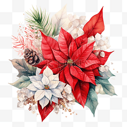 手绘水彩花边框图片_水彩圣诞插画与水晶和一品红花