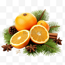 橙子果树素材图片_圣诞节组合物与橙子和枞树