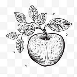 水果苹果线性涂鸦