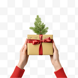 女手拿着一个带圣诞树枝的礼盒