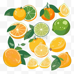 扁平橙图片_柑橘剪贴画 柑橘类水果套装，扁