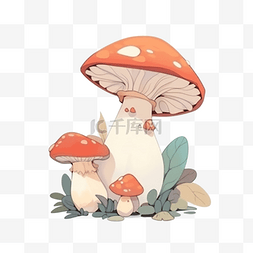 红菇蘑菇生长在森林里