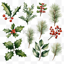 冬天的卡通植物图片_聖誕植物