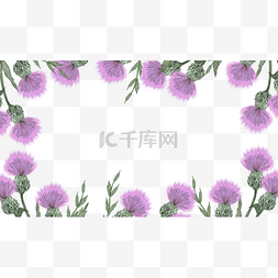 鲜花框架图片_蓟花卉水彩植物花草边框