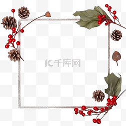 华丽框架图片_由树枝和圣诞装饰制成的装饰框架