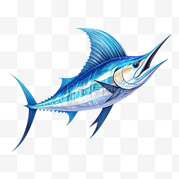 马林鱼 海洋生物 动物