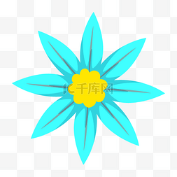 花朵黄色花蕊蓝色