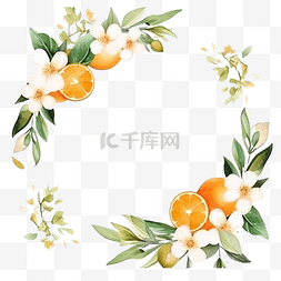 水彩树叶花环图片_水彩白花和橙色水果花环框架横幅