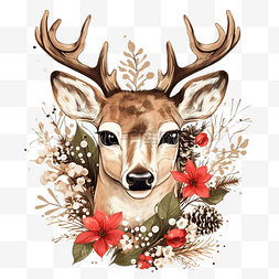 手绘鹿肖像与圣诞花矢量
