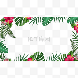 热带树叶艺术边框