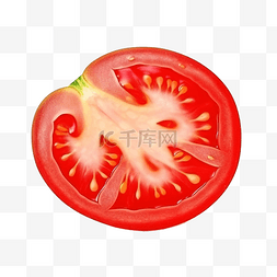 番茄果实切片