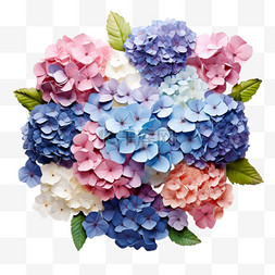 花团锦簇牡丹图片_素材花团锦簇元素立体免抠图案