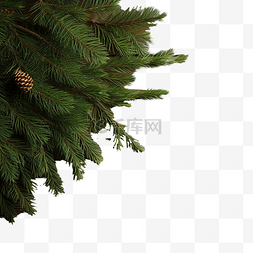 复古松木图片_木板上的针叶树枝圣诞装饰