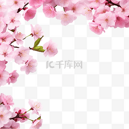 樱花背景框图片_樱花樱花边框