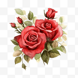 水彩花玫瑰图片_红玫瑰水彩花花束复古古董带叶