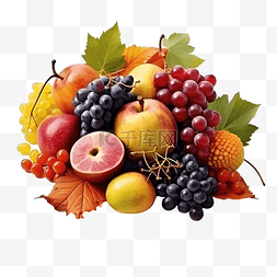 金秋新图片_含有秋季时令水果的组合物