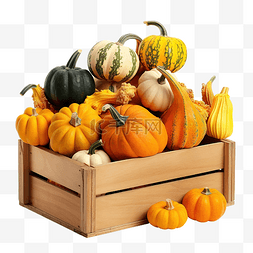 秋季农作物丰收图片_秋收木箱成熟南瓜感恩节和万圣节