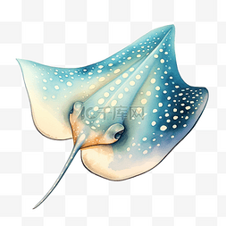 水彩水族馆图片_水彩黄貂鱼海洋动物剪贴画