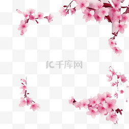 百合素材图片_粉色樱花框