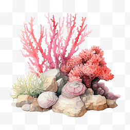珊瑚和岩石水彩