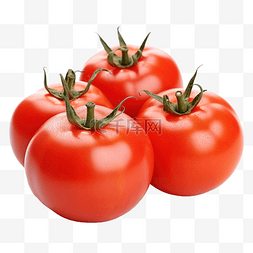 植物番茄图片_蔬菜 红番茄