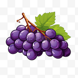 多汁的葡萄图片_新鲜的紫葡萄 紫葡萄 卡通