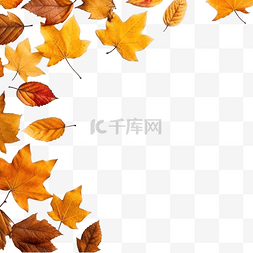 秋天的背景和地上的叶子，有复制
