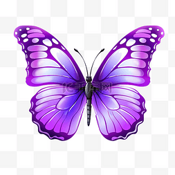 可爱的装饰品图片_紫色蝴蝶可爱