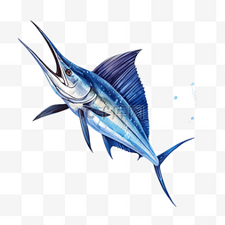可爱的鱼旗图片_蓝马林箭鱼跳跃