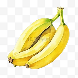 香蕉片手绘图片_水彩香蕉水果