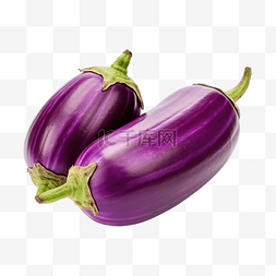 新鲜的泰国紫色圆茄子分离