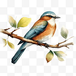 蓝色羽毛鸟图片_拿着树枝的鸟