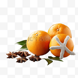新鲜柑橘图片_新鲜的橘子与圣诞树的树枝
