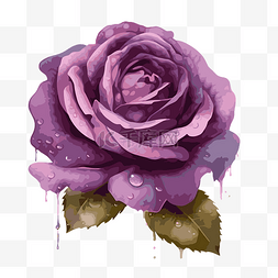 紫玫瑰 向量