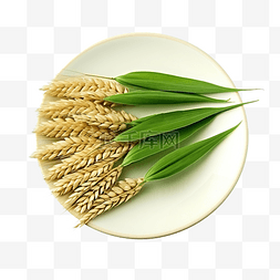 手植物图标图片_萨尔树叶盘上的小麦粒