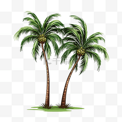 椰子林图片_两棵棕榈树插画