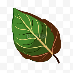 简单的叶子剪贴画叶子与绿色和棕