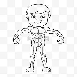 儿童解剖图片_为孩子画轮廓素描的肌肉男 向量