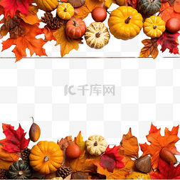 圣境物业图片_秋天和感恩节边界的彩色叶子和南