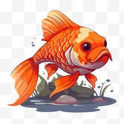 卡通金鱼白色图片_鲤鱼剪贴画鱼卡通橙色金鱼孤立在