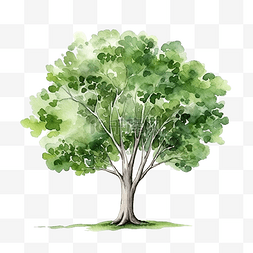 地球贴纸图片_可爱的树水彩