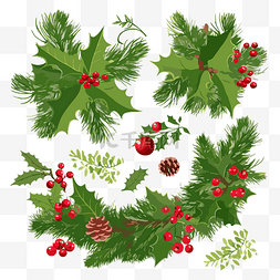 岭矢量图片_圣诞绿叶剪贴画集圣诞冬青叶和松