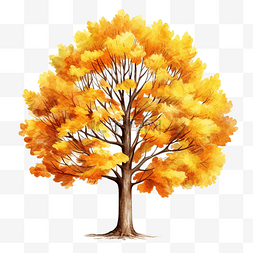 水彩秋天樹