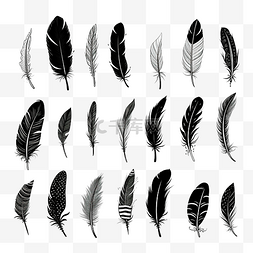 万圣节手绘可怕的羽毛涂鸦黑色素