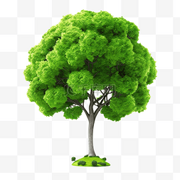 植物世界背景图片_绿色地球中的树隔离png文件