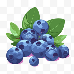 蓝莓剪贴画 叶子上的蓝莓