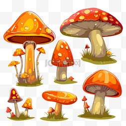 蘑菇剪贴画分离矢量收集白色背景